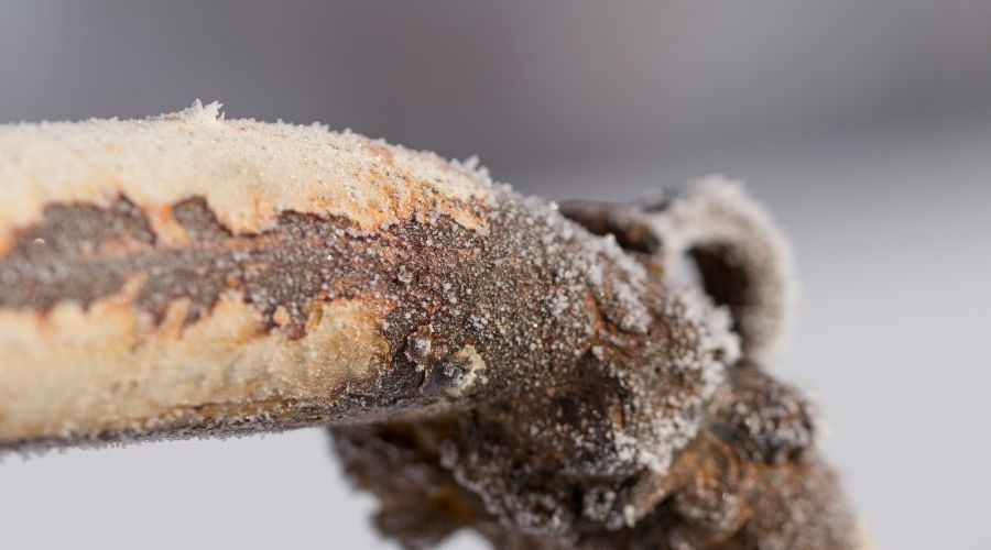 frozen pipe