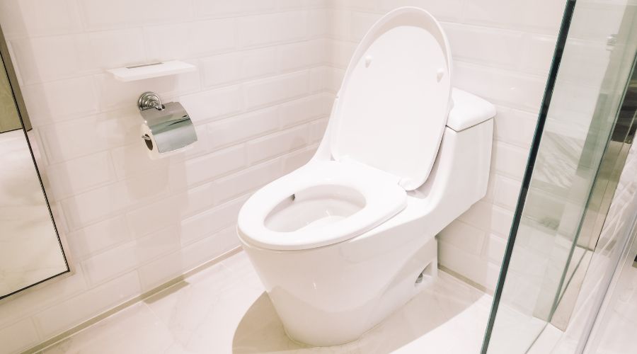 toilet
